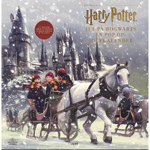 køb Harry Potter julekalender bogen